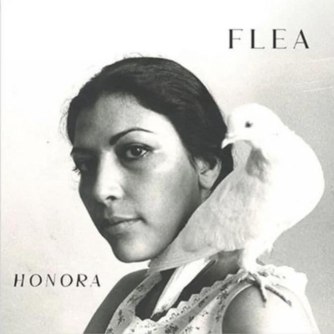 Flea – A Plea